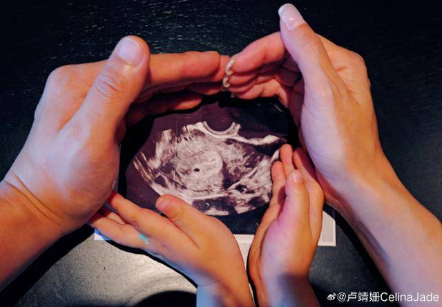 韩庚、卢靖姗晒一家四口合照，官宣二胎得子