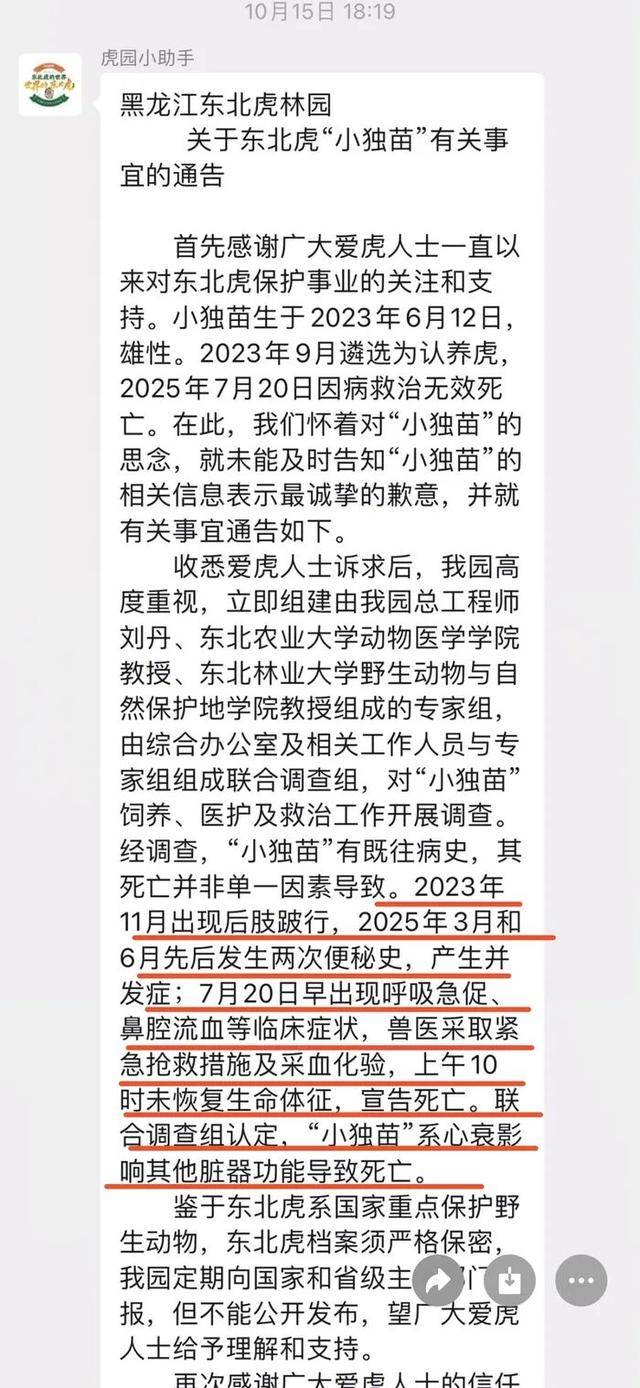 无协议、不公示、隐瞒死讯,黑龙江东北虎林园认养虎项目遭质疑