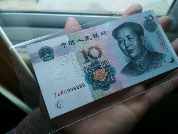 十元人命币(十元人民币花是什么花)