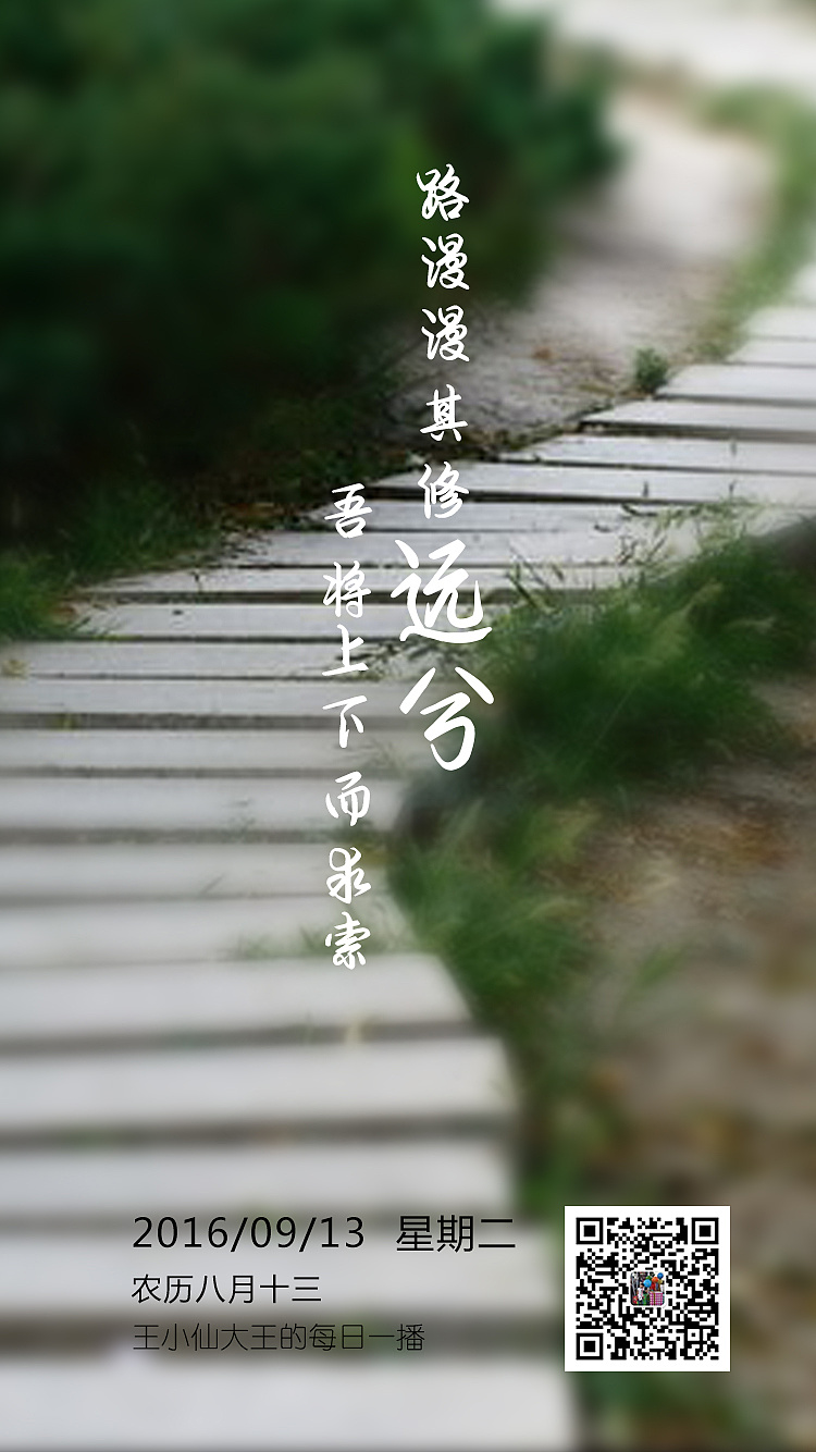 币圈路漫漫(仙路漫漫免费的仙币)