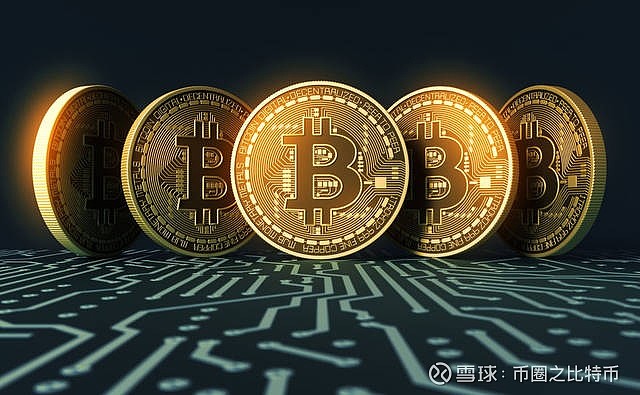 币圈信息(币圈信息捕获)