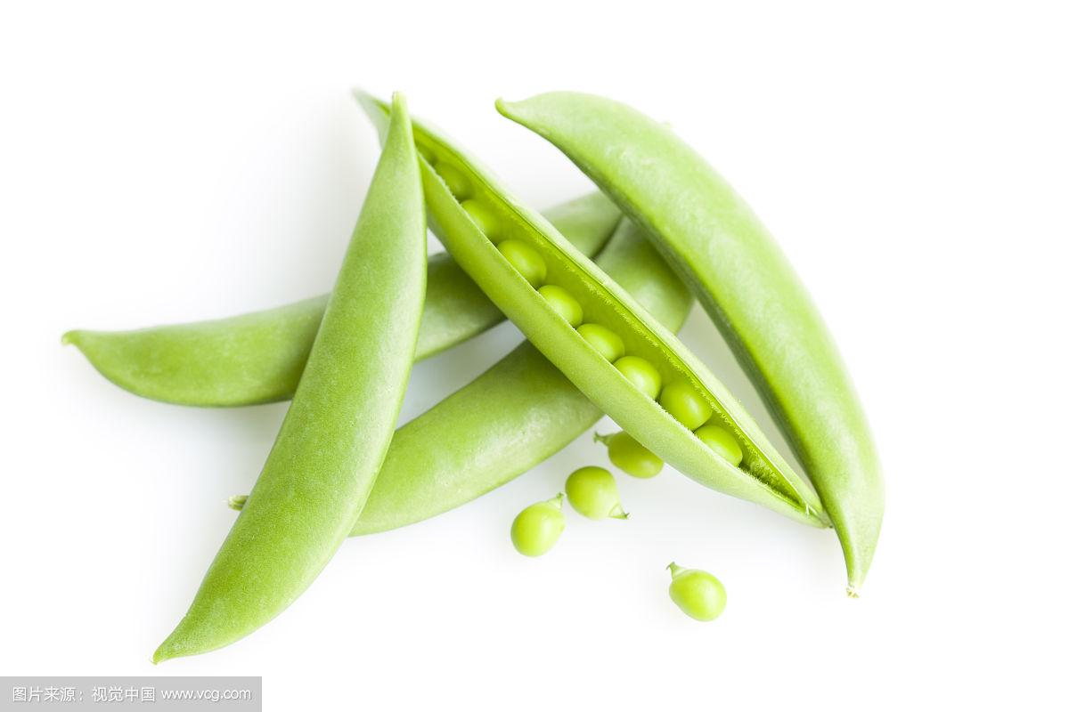 豌豆币(豌豆币是什么)
