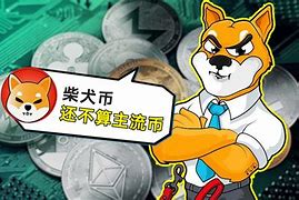 圈币(圈币是干什么的)
