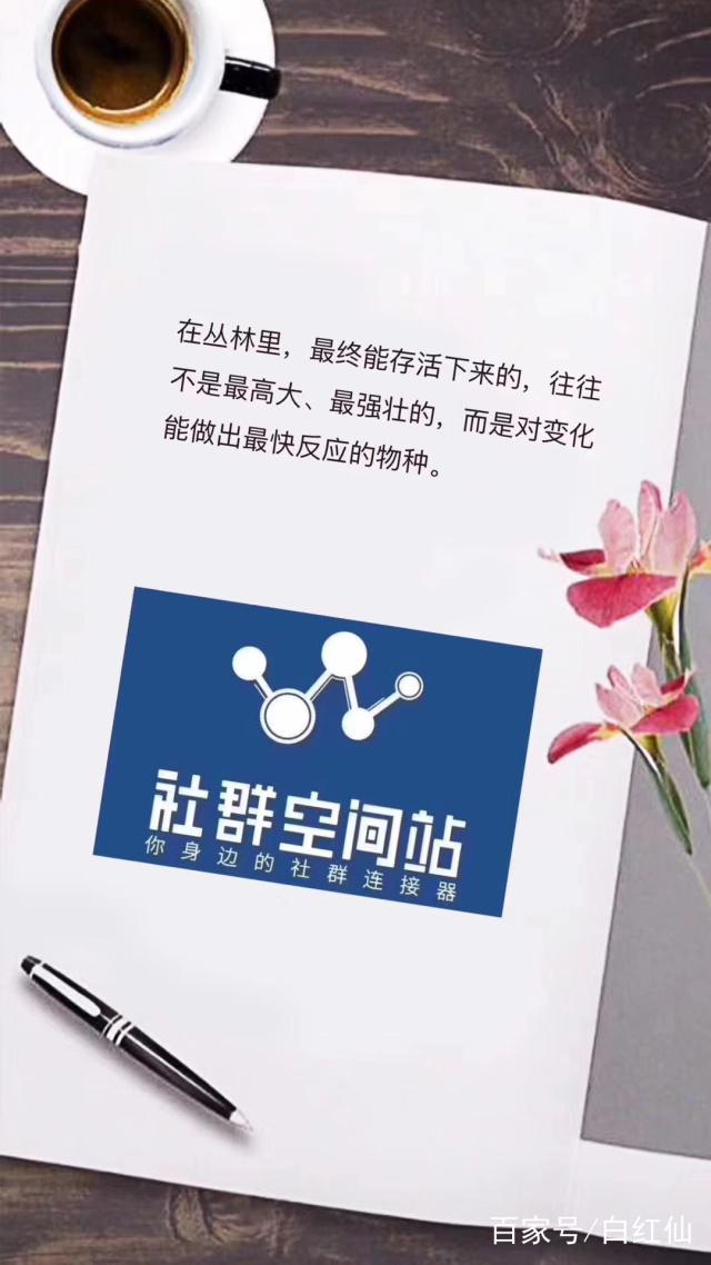 炒币社群(炒币群骗局全过程 怎么要回来)