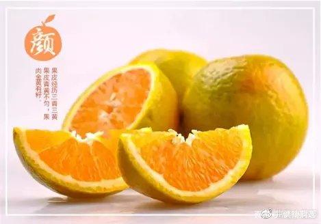 币橙测评(币成app下载软件)