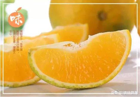 币橙测评(币成app下载软件)