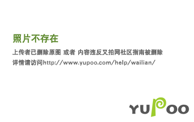 盛源币今天价格(盛源币现在多少钱一个)