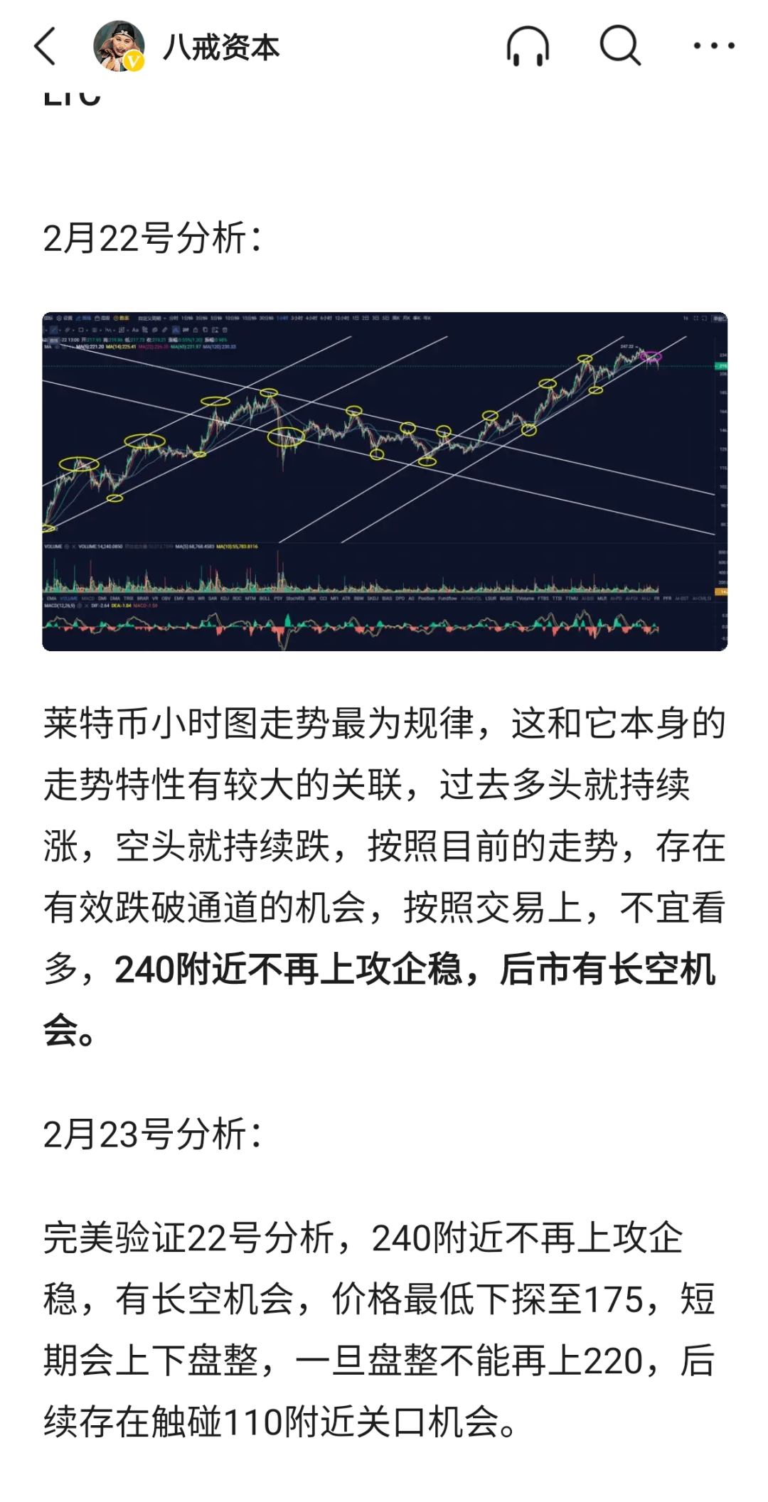 炒币说明(炒币的骗局揭秘)