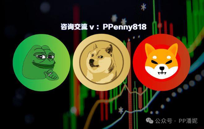 炒币大赛(炒币骗局揭秘视频)